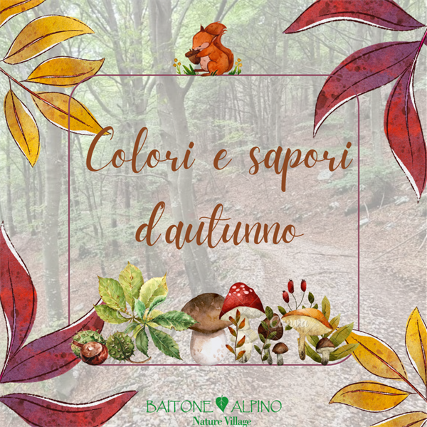 Autumn colors and flavors